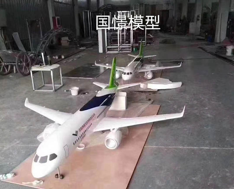 罗平县飞机模型