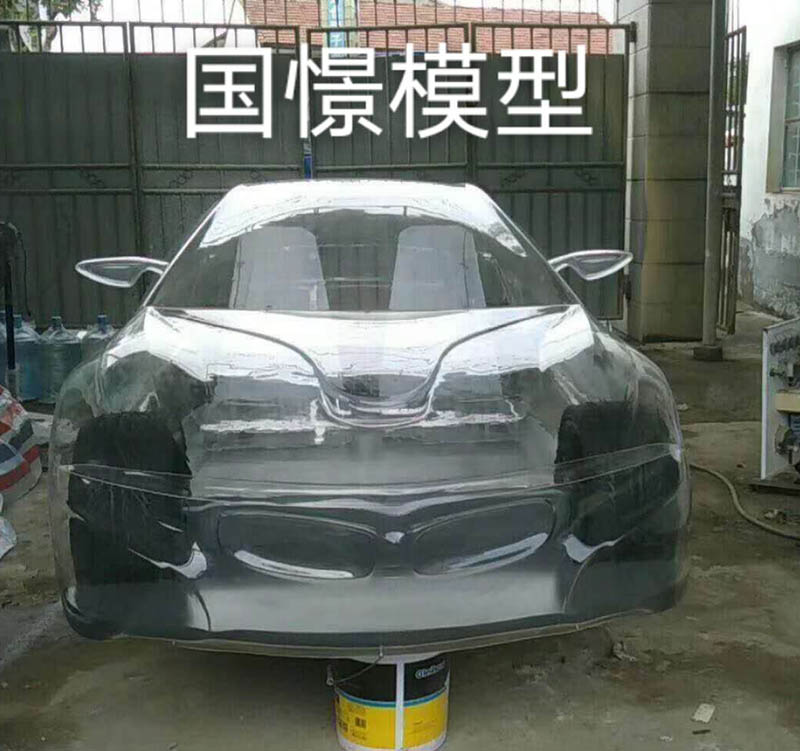罗平县透明车模型